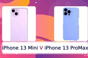 مقایسه گوشی iPhone 13 Mini و iPhone 13 Pro Max A2644 - آیفون 13 مینی و آیفون 13 پرومکس - اینفوفون